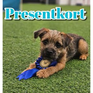 Presentkort